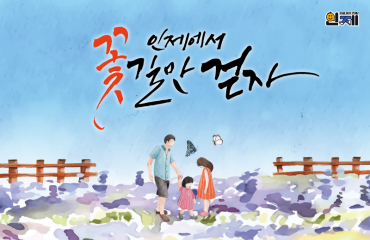 인제 가을꽃 축제 …